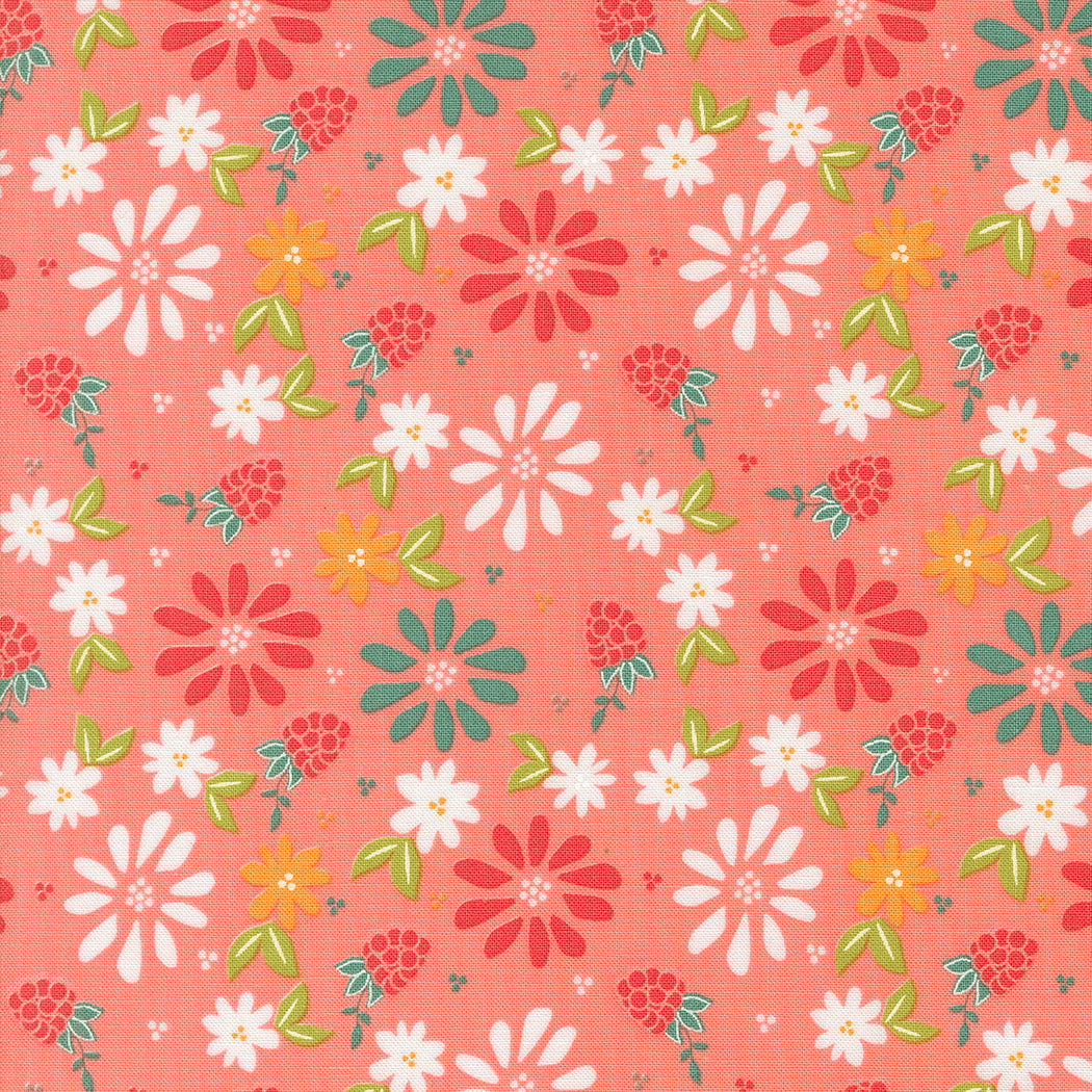 Sherri & Chelsi Raspberry Summer Fabric