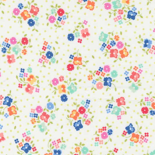 Cali & Co Multicloud Fabric