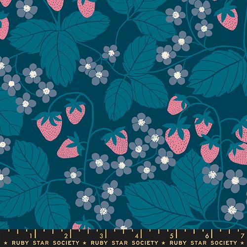 Ruby Star Society Reimagined Landscapes Galaxy Yardage
