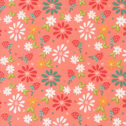 Sherri & Chelsi Raspberry Summer Fabric
